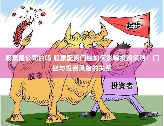 股票是公司的吗 股票配资门槛如何影响投资策略：门槛与投资风险的关系