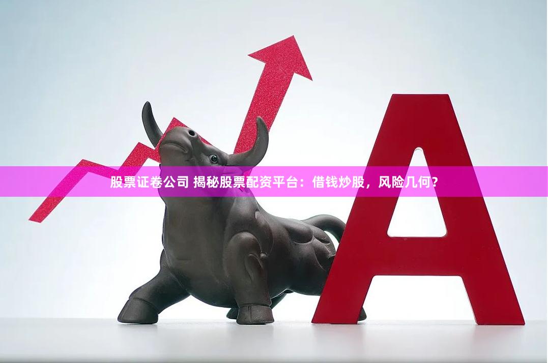 股票证卷公司 揭秘股票配资平台：借钱炒股，风险几何？