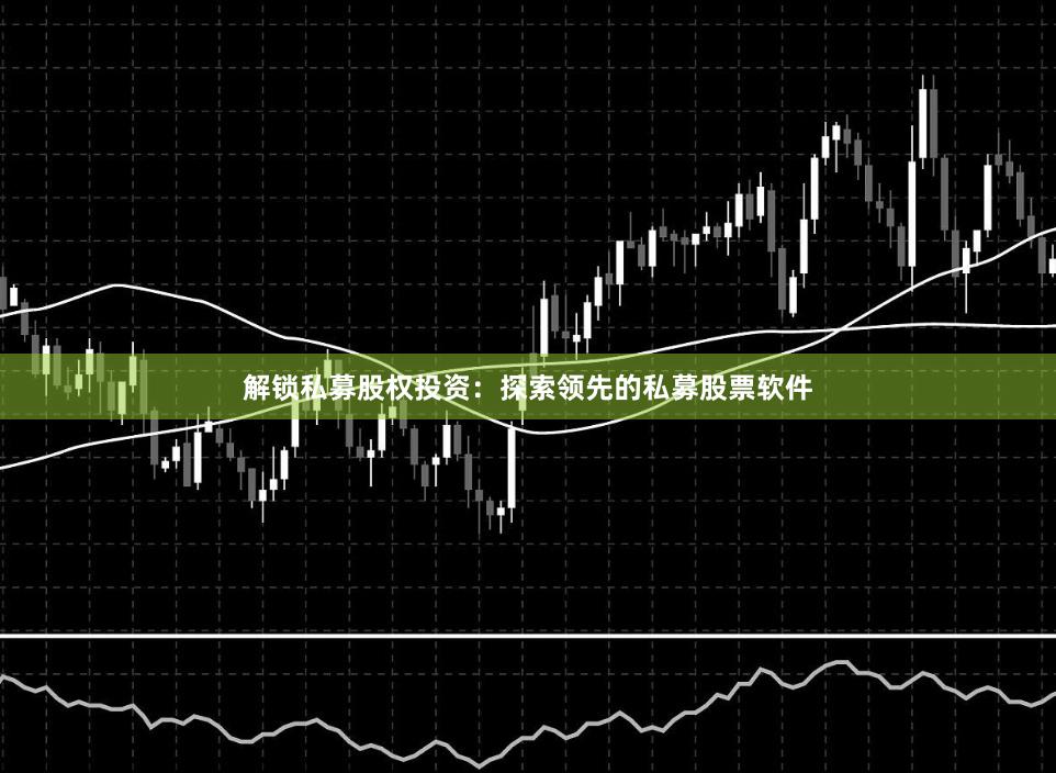 解锁私募股权投资：探索领先的私募股票软件