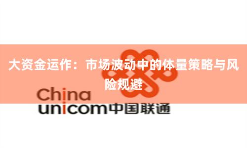 大资金运作：市场波动中的体量策略与风险规避